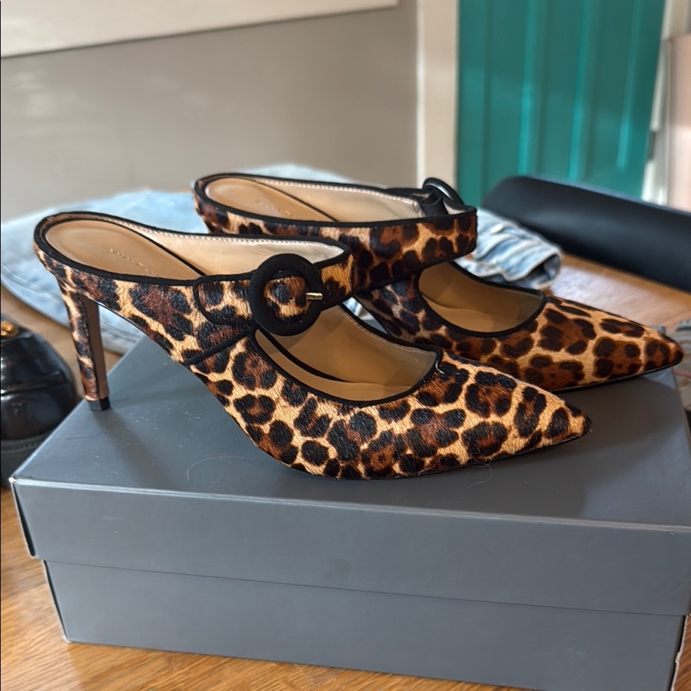 NWOT leopard Mule